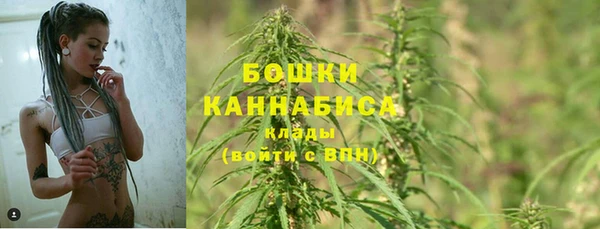 2c-b Козловка