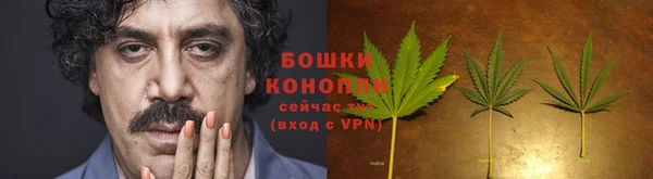 ALPHA PVP Кодинск