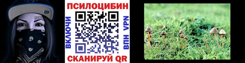 сколько стоит  Клинцы  Галлюциногенные грибы мухоморы 