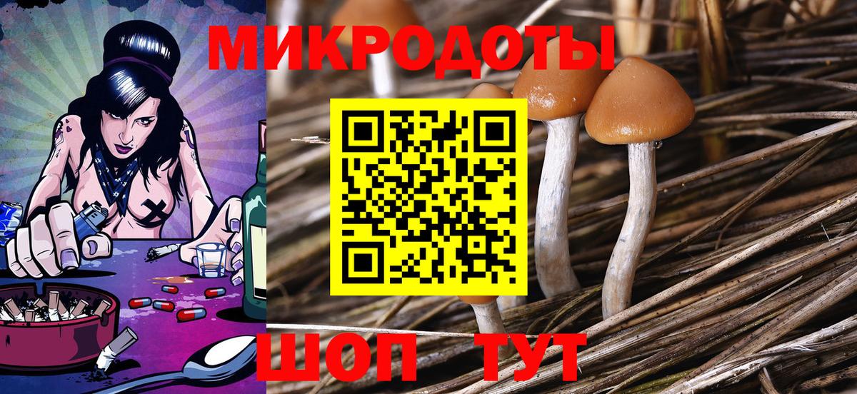 Клинцы  Галлюциногенные грибы MAGIC MUSHROOMS  Вход с VPN 