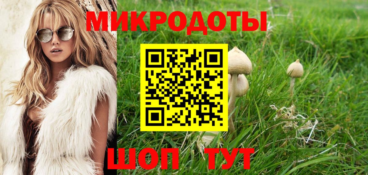 Псилоцибиновые грибы мухоморы Клинцы